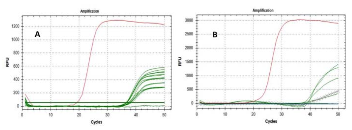 Fig.1