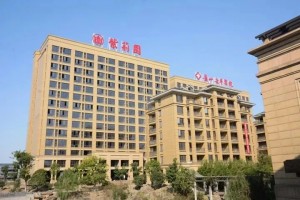 Hangzhou Xiaoshan Geriatri Hastanesi