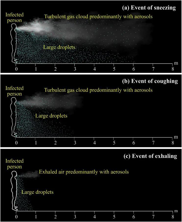 Sneezing, coughing, exhaling cloud and their transmission distance