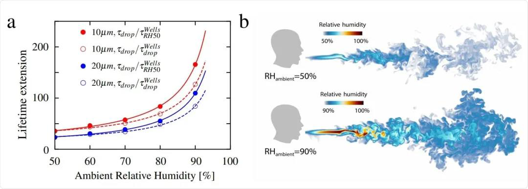 The relation between the span life of virus droplets & the particle diameter and relative humidity.