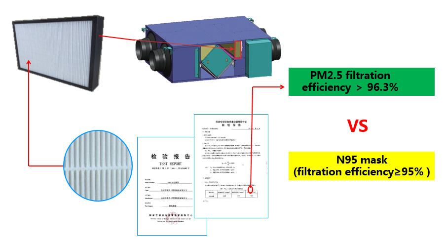 purificación erv