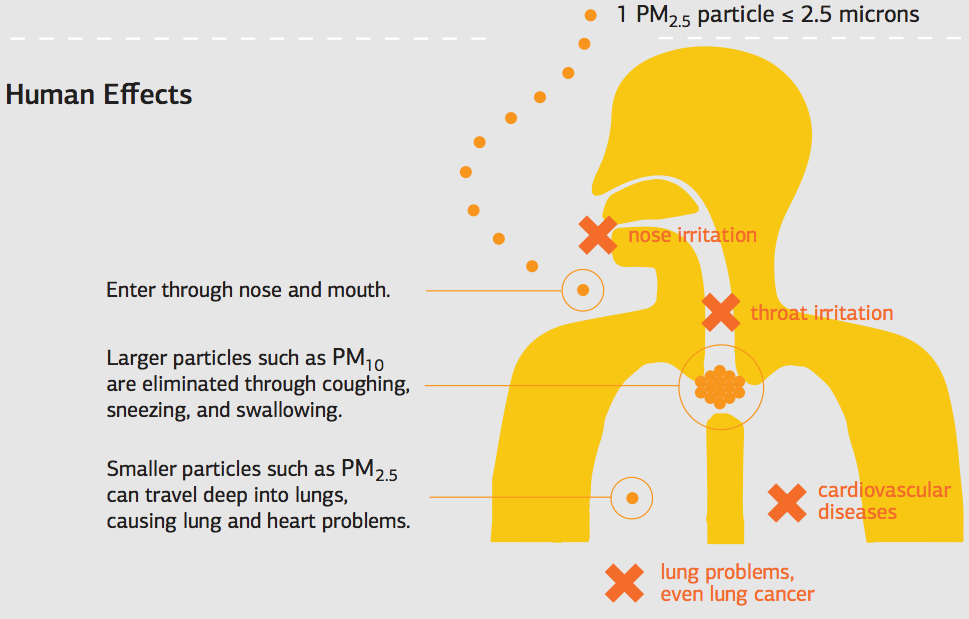 pm2.5 health effects