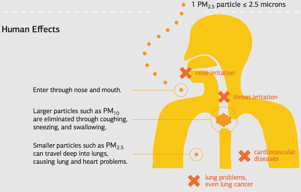 pm2.5 sanefektoj