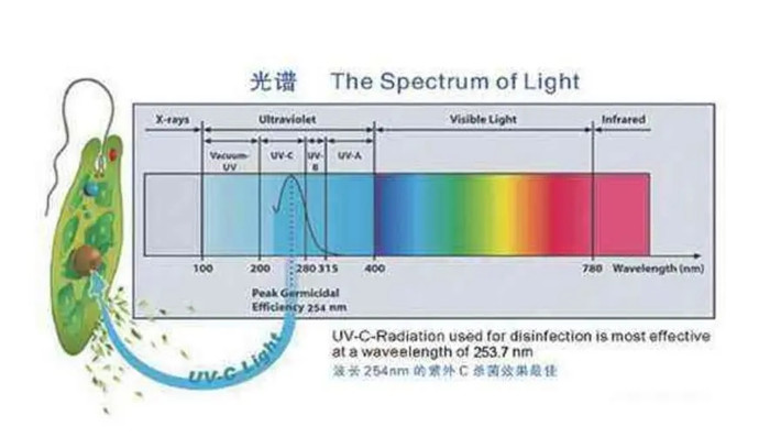 espectro de luz
